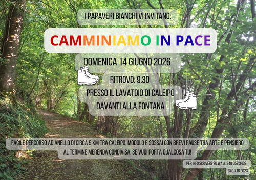 Camminiamo in Pace