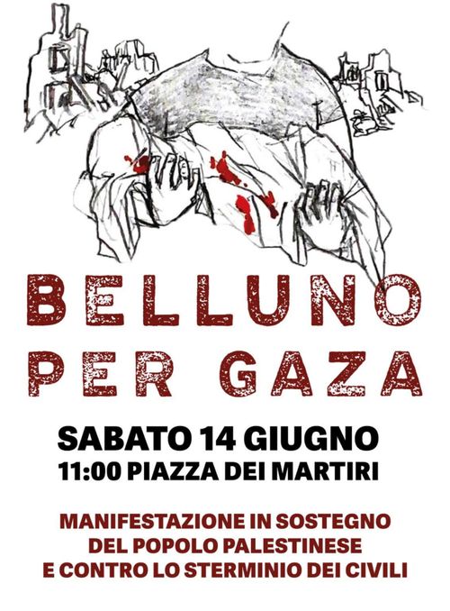 Belluno per Gaza, sabato 14 giugno