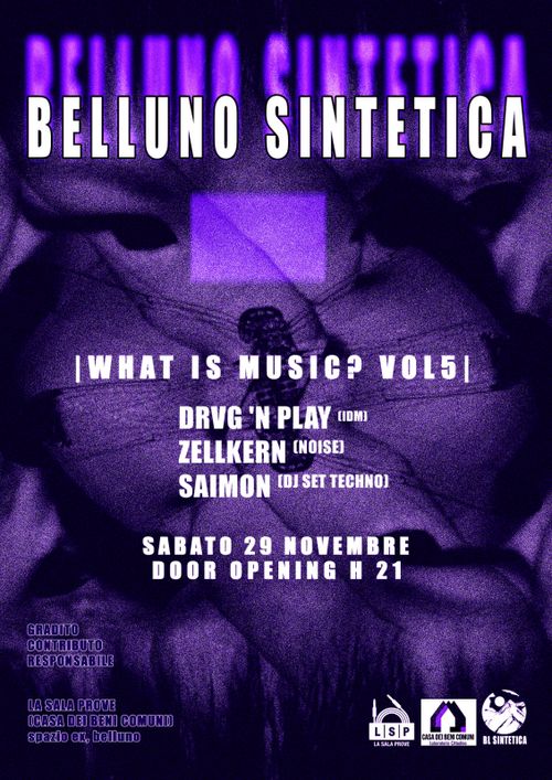 Belluno Sintetica - What Is music vol.5
